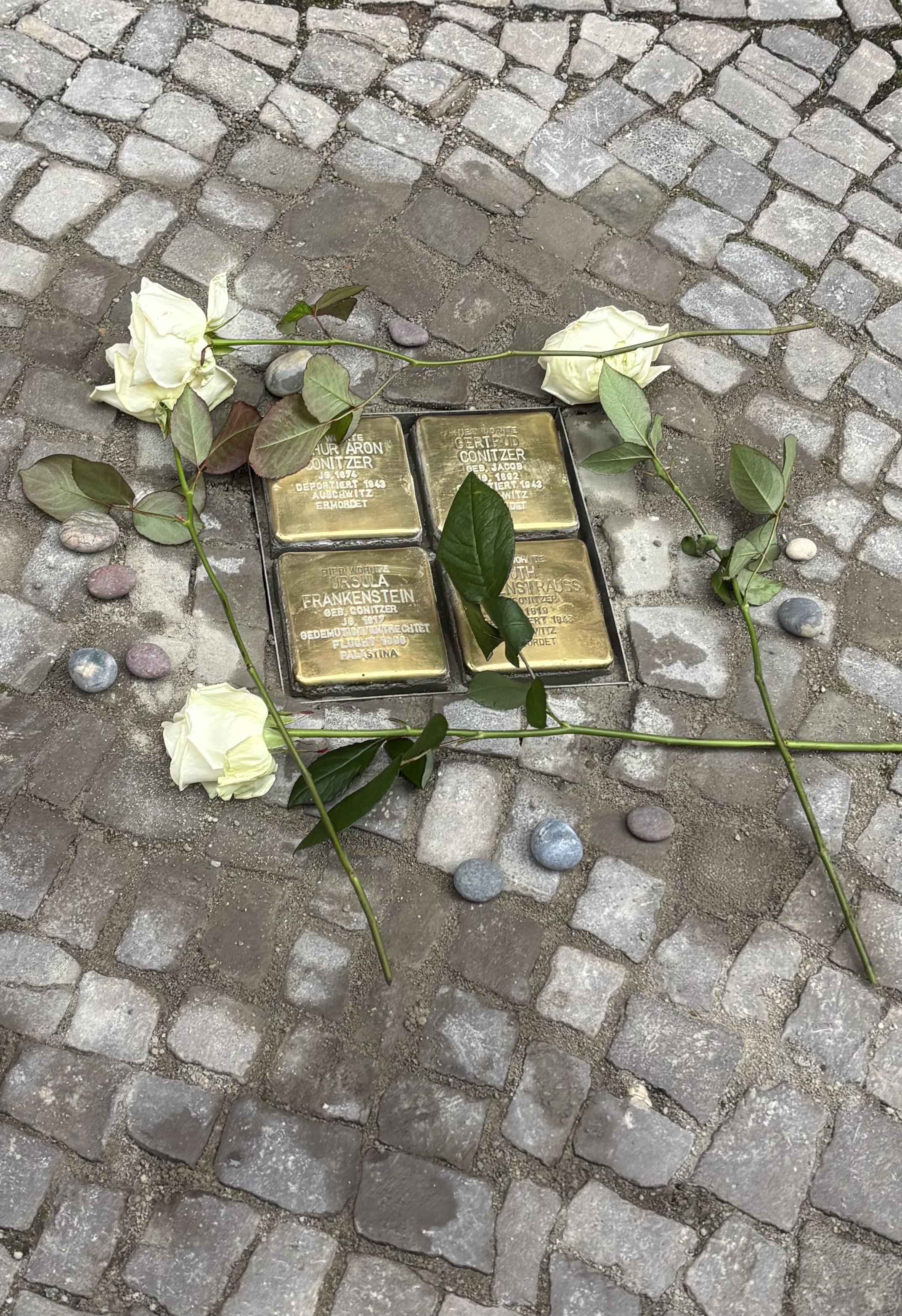 Stolpersteinverlegung – Tangermünde